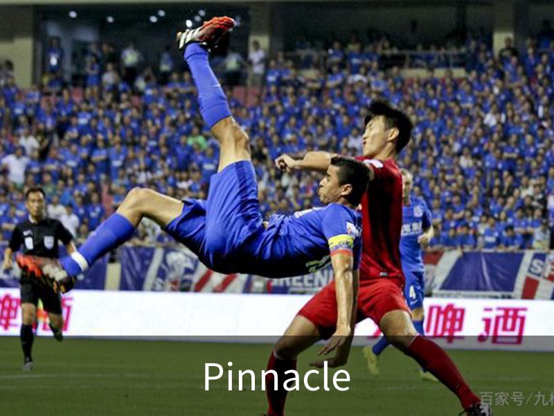 走进Pinnacle